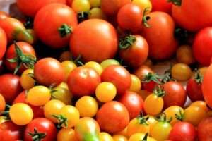 Learn Kannada Vegetables names through Hindi