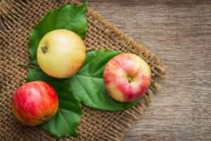 Learn Marathi Fruits Names through English